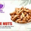 Buy Pine Nut Online