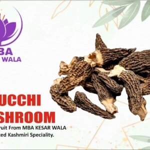 Gucchi Mushroom